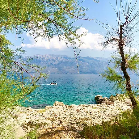 Vikendica Atrium Blue House Razanac