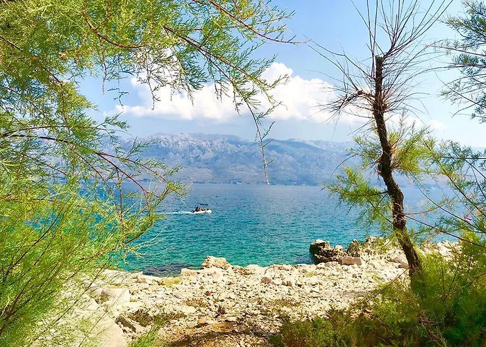 Дом отдыха Atrium Blue House Ражанац